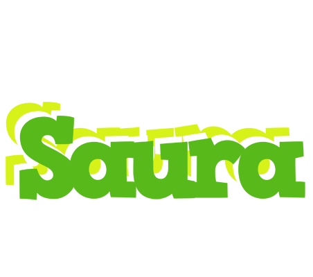 Saura picnic logo