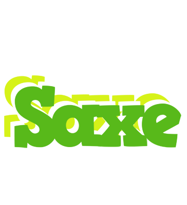 Saxe picnic logo