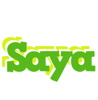 Saya picnic logo