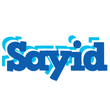 Sayid business logo