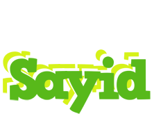 Sayid picnic logo