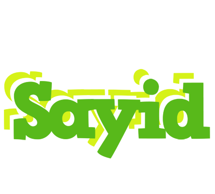 Sayid picnic logo