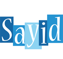 Sayid winter logo