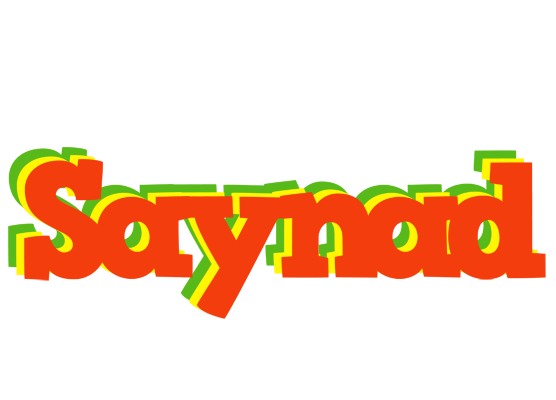 Saynad bbq logo