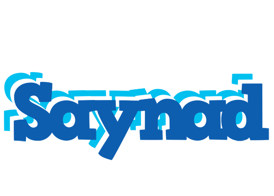 Saynad business logo
