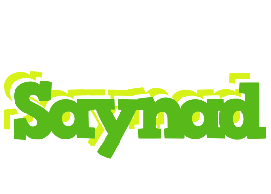 Saynad picnic logo