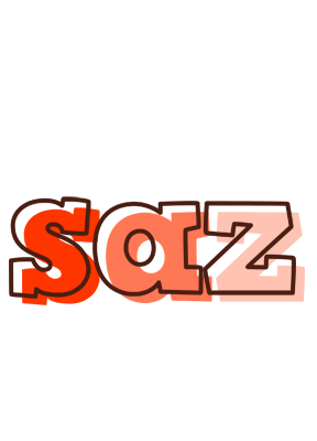 Saz paint logo