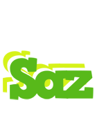 Saz picnic logo