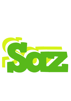 Saz picnic logo