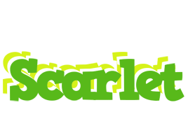 Scarlet picnic logo