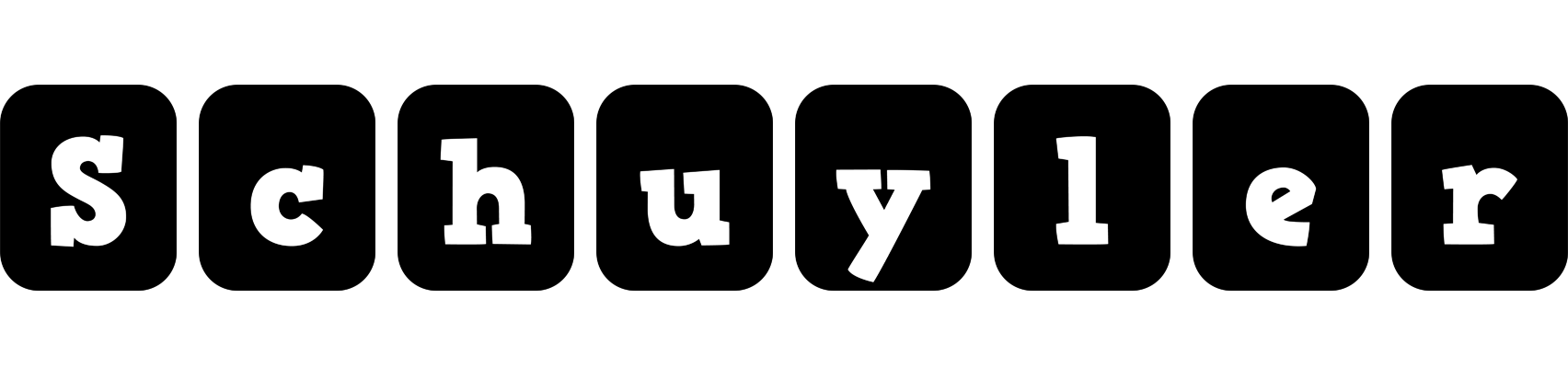 Schuyler box logo