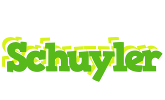 Schuyler picnic logo