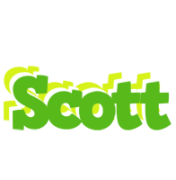 Scott picnic logo