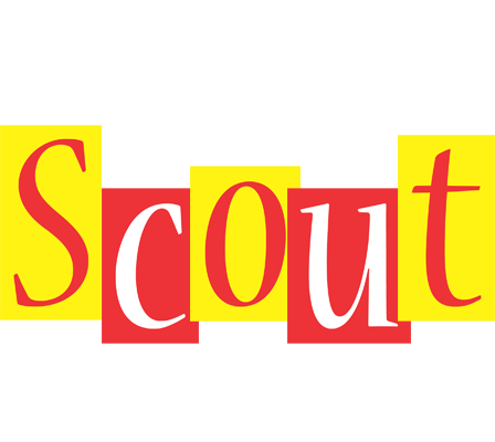 Scout errors logo