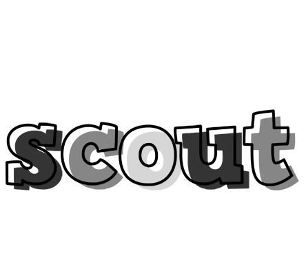 Scout night logo