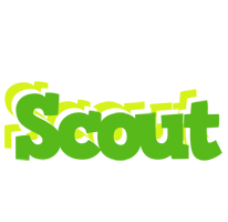 Scout picnic logo