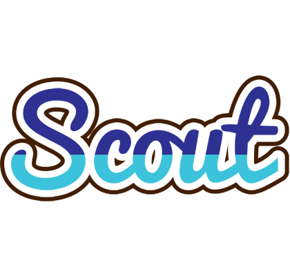Scout raining logo