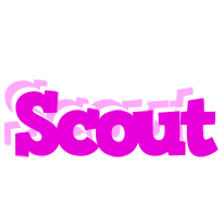 Scout rumba logo