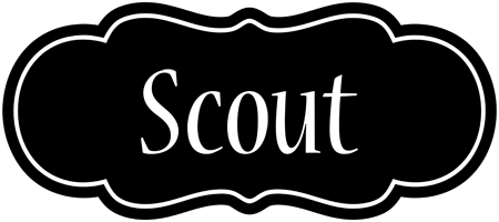 Scout welcome logo