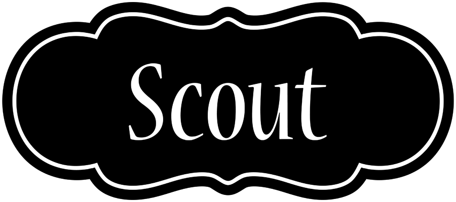 Scout welcome logo