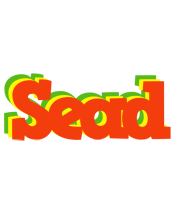 Sead bbq logo