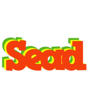 Sead bbq logo