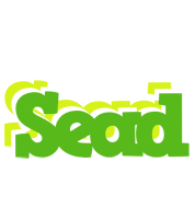 Sead picnic logo
