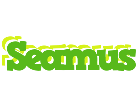 Seamus picnic logo