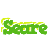 Seare picnic logo