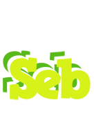 Seb citrus logo