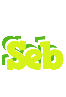 Seb citrus logo