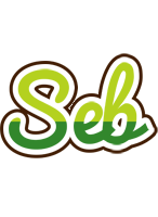 Seb golfing logo