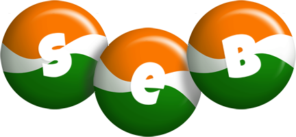 Seb india logo