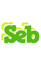 Seb picnic logo