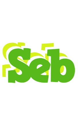 Seb picnic logo