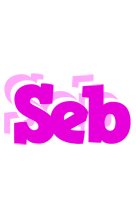 Seb rumba logo
