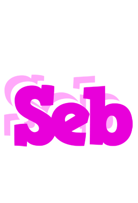 Seb rumba logo