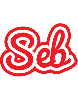 Seb sunshine logo