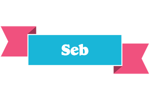 Seb today logo