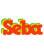 Seba bbq logo