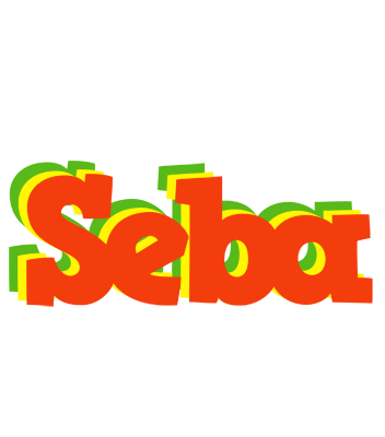 Seba bbq logo