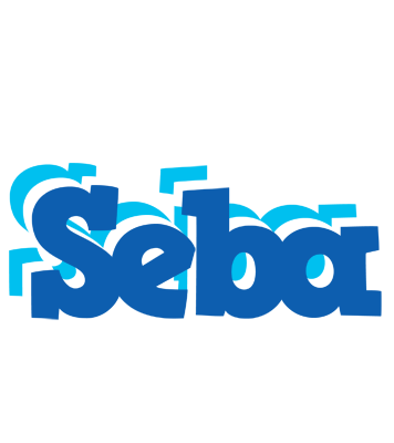 Seba business logo