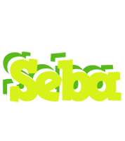 Seba citrus logo