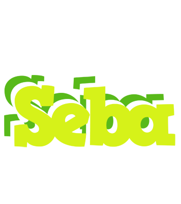 Seba citrus logo