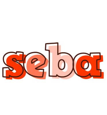 Seba paint logo