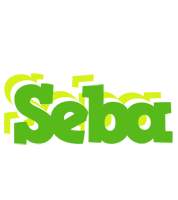 Seba picnic logo