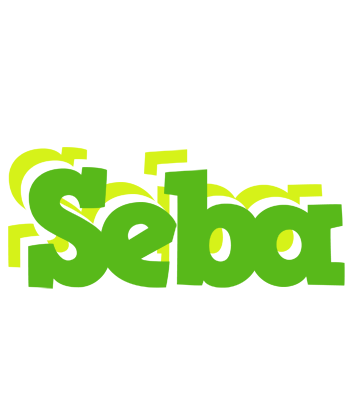Seba picnic logo