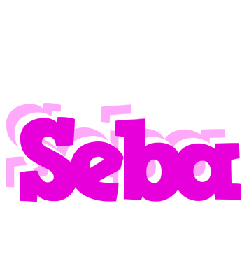 Seba rumba logo