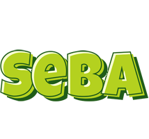 Seba summer logo