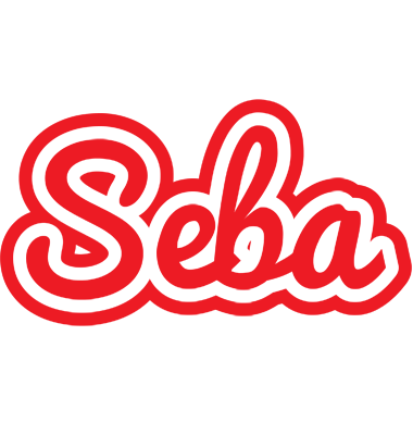 Seba sunshine logo
